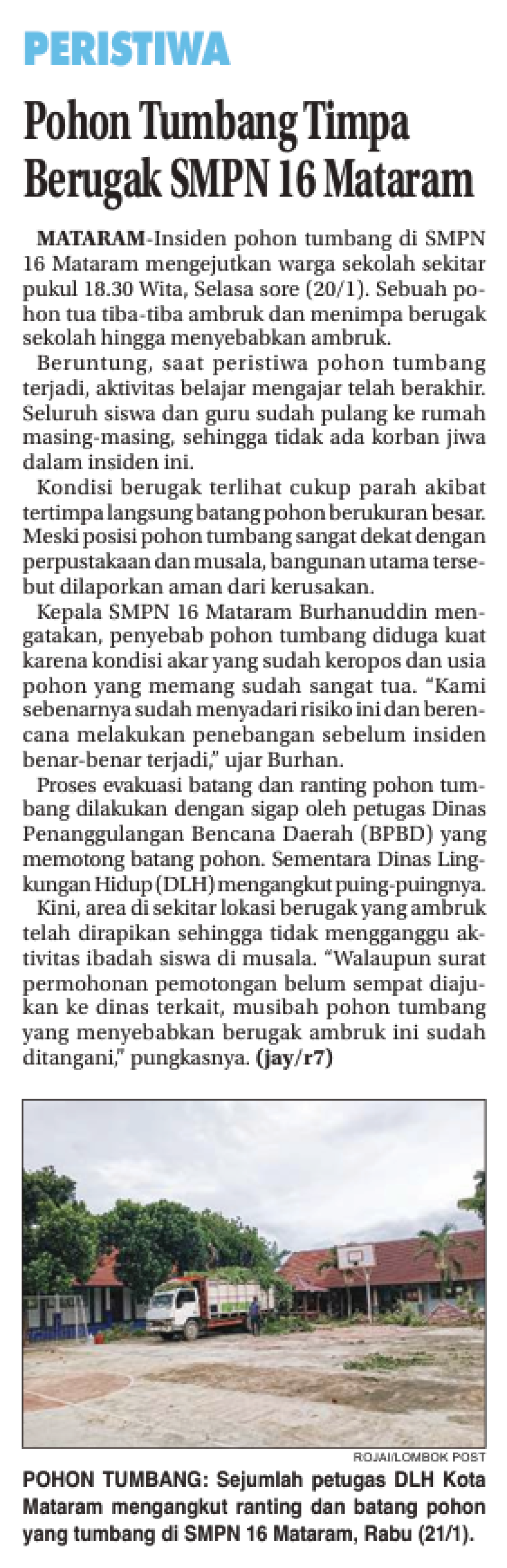 Pohon Tumbang Timpa Berugak SMPN16 Mataram